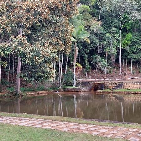 Cabanas Eco Das Montanhas 도밍고스 마르틴스 외부 사진