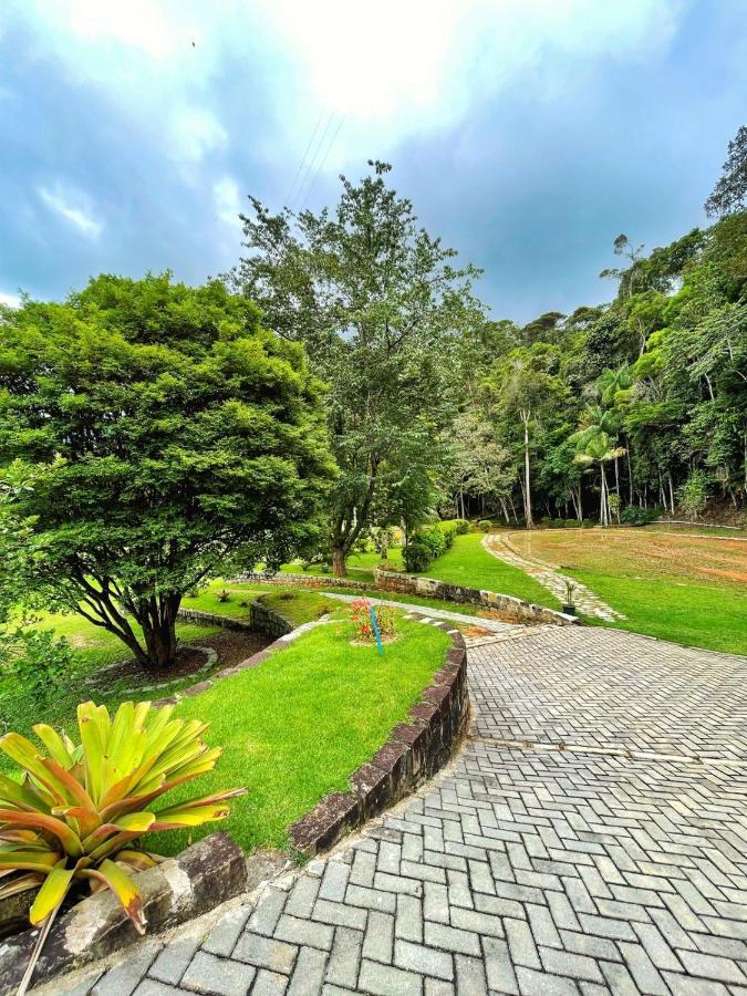 Cabanas Eco Das Montanhas 도밍고스 마르틴스 외부 사진