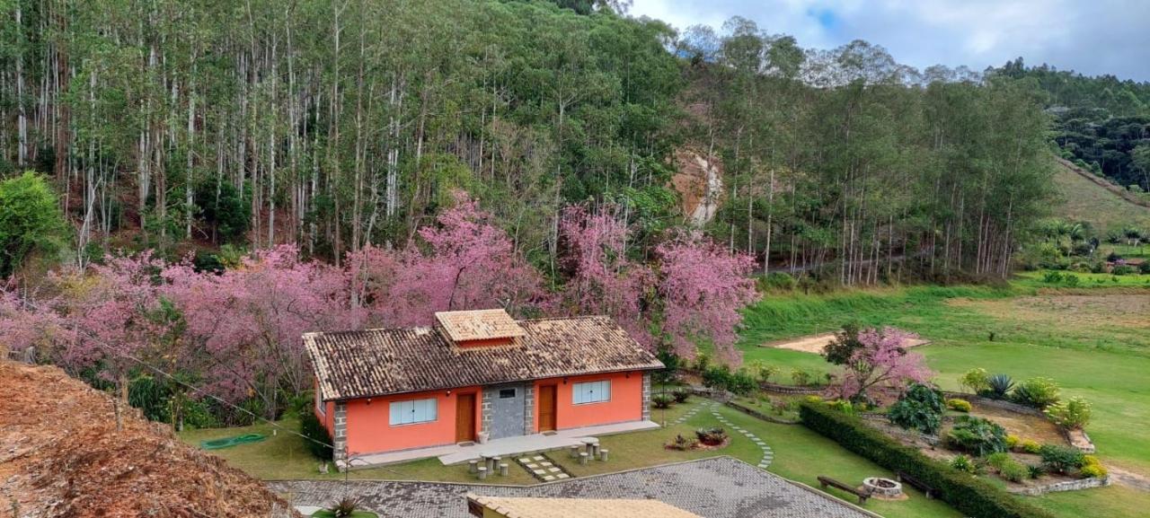 Cabanas Eco Das Montanhas 도밍고스 마르틴스 외부 사진