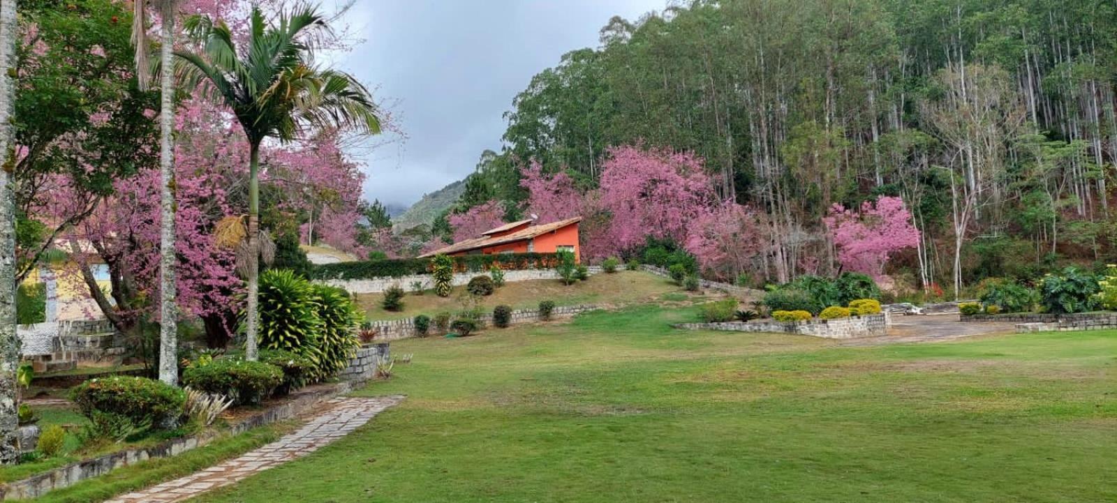 Cabanas Eco Das Montanhas 도밍고스 마르틴스 외부 사진